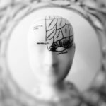 Estas son las formas en las que el cerebro de una Persona Altamente Sensible es diferente. cerebro pas