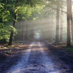 crecimiento espiritual