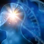 Misterios cuánticos en el cerebro: ¿Una revolución en la Teoría de la Conciencia? Teoría de la Conciencia
